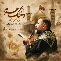 دلتنگ حرم