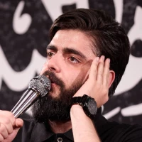 تصویر محمد حسین عطائیان - العجل العجل شاه بی همتا