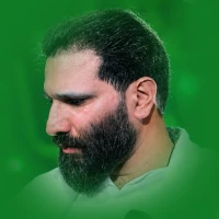 رضا شیخی