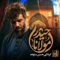 تصویر حسین ستوده - مولانا حیدر