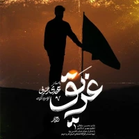 تصویر مهدی رعنایی - غریق
