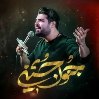 تصویر مهدی رعنایی - جنون حسین