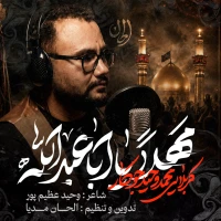 مَهلاً یا اباعبدالله