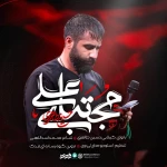 مجتبی علی