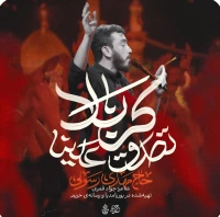 تصدق علینا کربلا