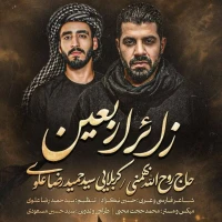 زائر اربعین