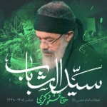 سید الشباب