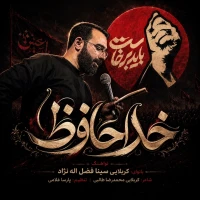 تصویر سینا فضل اله نژاد - خداحافظ