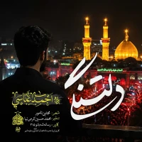 تصویر سایر ذاکرین - دلتنگی