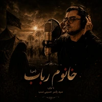 تصویر سایر ذاکرین - خانوم رباب
