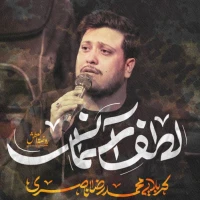 تصویر محمدرضا ناصری - لطف آسمانی