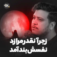 تصویر محمدرضا ناصری - زجر آنقدر مرا زد نفسش بند آمد