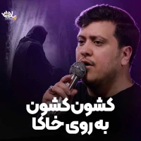 تصویر محمدرضا ناصری - کشون کشون به روی خاکا