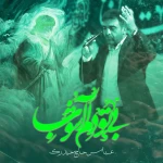 بی تو دلم آشوب