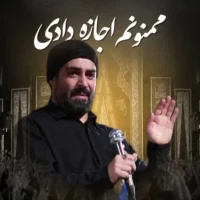 تصویر مهدی رعنایی - ممنونم اجازه دادی