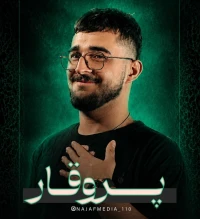 تصویر مرتضی یبرنژاد - پر وقار